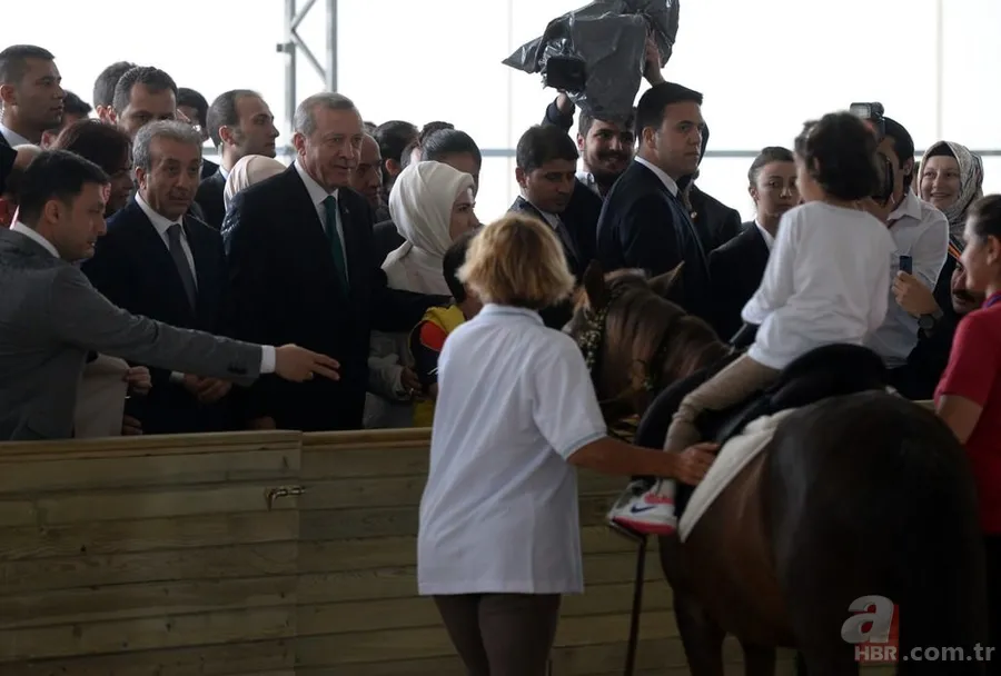 Katar emirinden Cumhurbaşkanı'na sürpriz: 53 tane Arap atı gönderdi 10