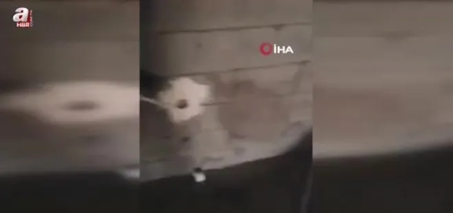 İşçilerin kaldığı evde yangın çıktı
