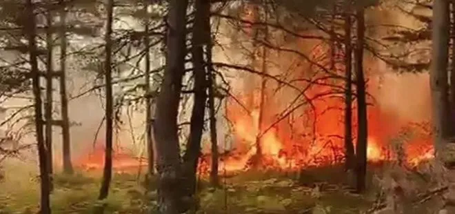 Tokat’ın Reşadiye ilçesinde orman yangını! Vali ve belediye başkanından açıklama geldi