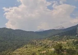 Antalya'da korkutan yangın! Yıldırımın düştüğü orman alevlere teslim oldu