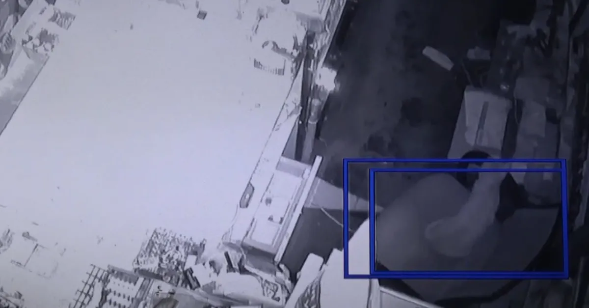 Diyarbakır'da deprem anı marketin güvenlik kamerasına böyle yansıdı! Kedinin tepkisi dikkat çekti