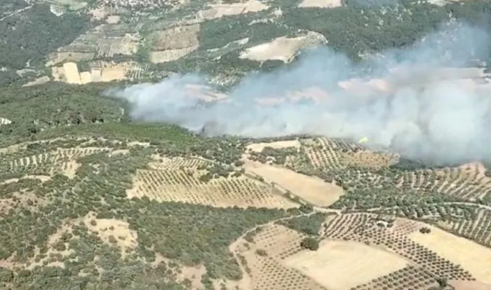 izmirde-yangin-alevlerle-canhiras-mucadele-suruyor-bir-mahalle-bosaltildi-1718908888938.jpg İzmir'de 2 noktada yangın! Alevlerle havadan ve karadan mücadele | Bir mahalle boşaltıldı - 1