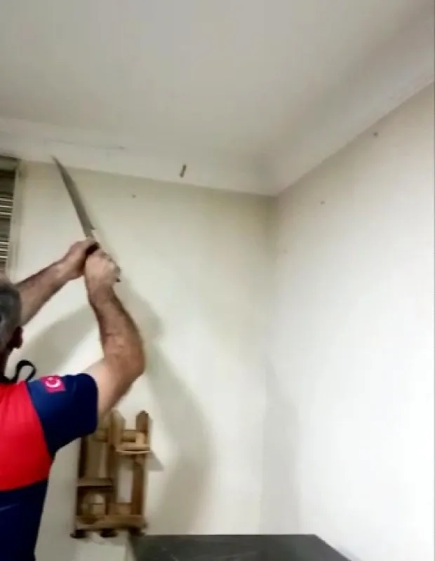 Duvardan gelen ses sonrası harekete geçti! İçinden öyle bir şey çıktı ki… Duvardan gelen ses sonrası harekete geçti! İçinden öyle bir şey çıktı ki…