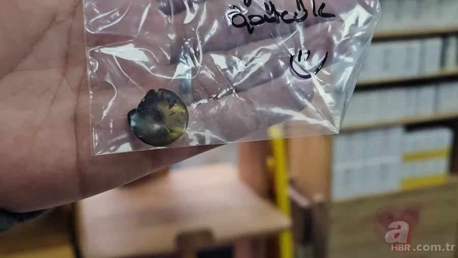 Kedinin midesindeki vantuz 4 yıl sonra fark edildi 2