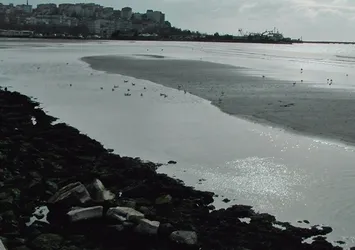 Silivri'de deniz yaklaşık 40 metre çekildi