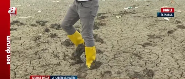 Su çekilince bataklık oluştu! Sazlıbosna Barajı’nda bataklık ortaya çıktı