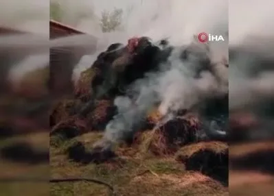 Yüksekova’da ot yangını
