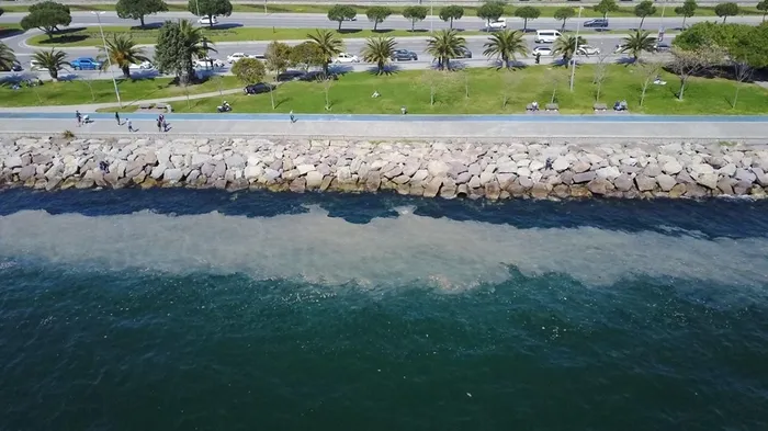 İstanbul'da yine ortaya çıktı! Kartal Sahili'nde "deniz salyası" endişesi | Müsilaj nedir? - 1