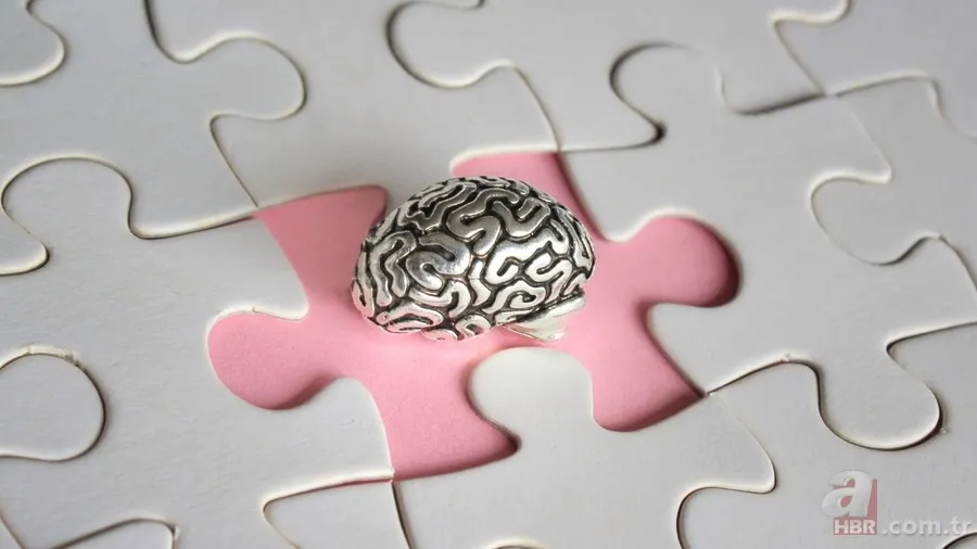 Beynimiz de cildimiz gibi genç kalabilir! Tek proteinle hafıza yenileniyor: İşte dünyayı şaşkına uğratan keşif 3