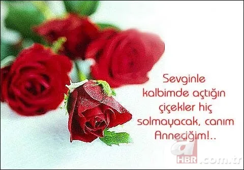 2024 Anneler Günü Şiirleri: Kalbinize Dokunacak En Güzel Seçenekler! Kısa ve Uzun, 1 2 3 4 5 Kıtaya Kadar... 3