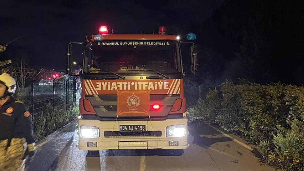 Beykoz'da ormanlık alanda yangın paniği! Alevler büyümeden kontrol altına alındı