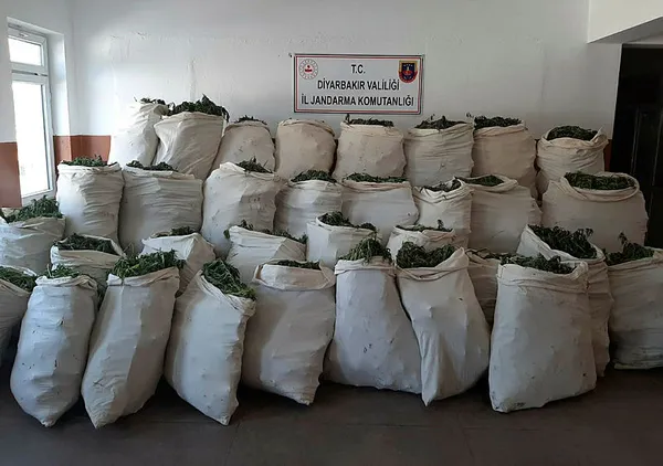 Diyarbakır'da büyük operasyon: 1 milyon 119 bin kök kenevir ve 756 kilogram esrar ele geçirildi - 2