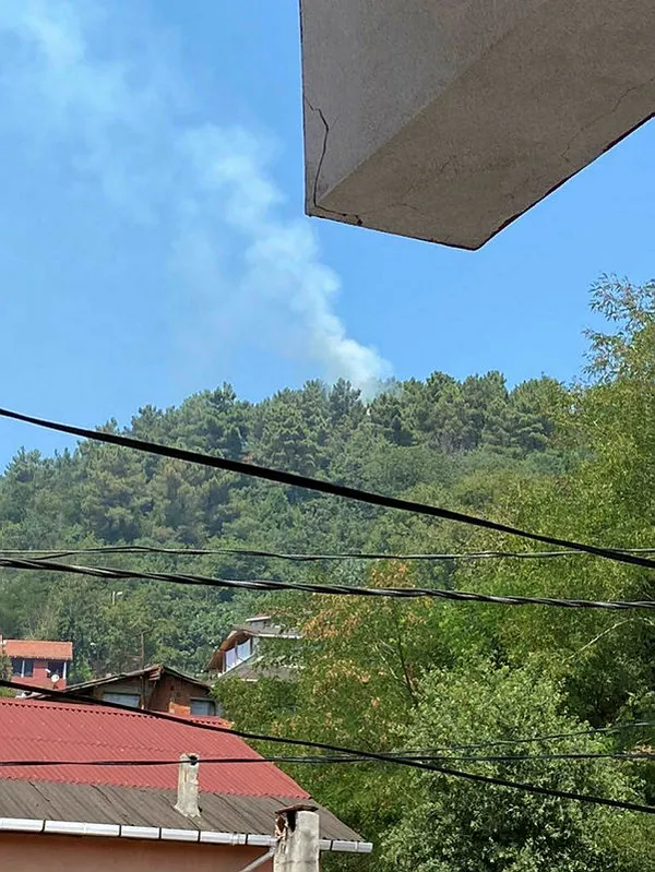 Son dakika: İstanbul'da orman yangını! Beykoz'da dumanlar yükseliyor - 1