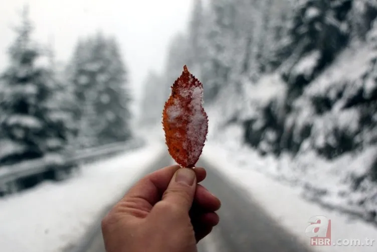 Kocaeli ve Bolu'nun yüksek kesimlerine ilk kar düştü 10