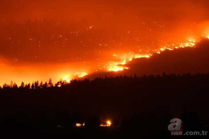 ABD kriz modunda! Dixie bir aydır söndürülemiyor: California’da 210 bin hektar orman kül oldu