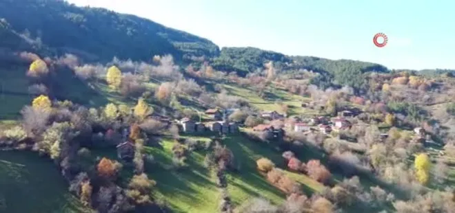 Kastamonu'da sonbaharın renkleri kamerada