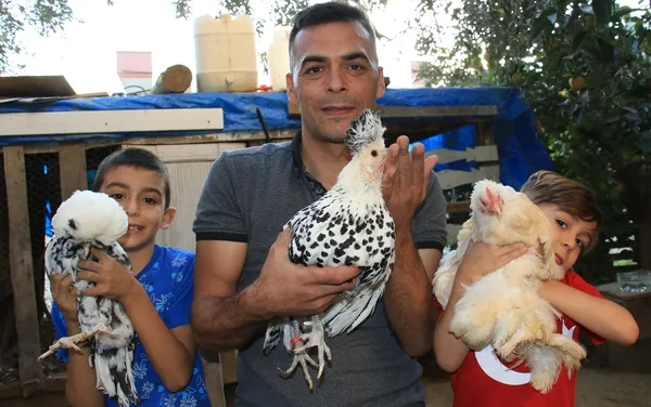 Akıllara ‘altın tavuk’ hikayesini getiriyor! Yumurtaları Türkiye’de 80, yurt dışında 150 lira