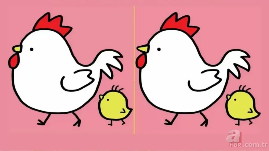 Zeka Testi: Tavuk ve civciv resimleri arasındaki farkı 15 saniyede sadece şahin gözlüler buluyor! 2