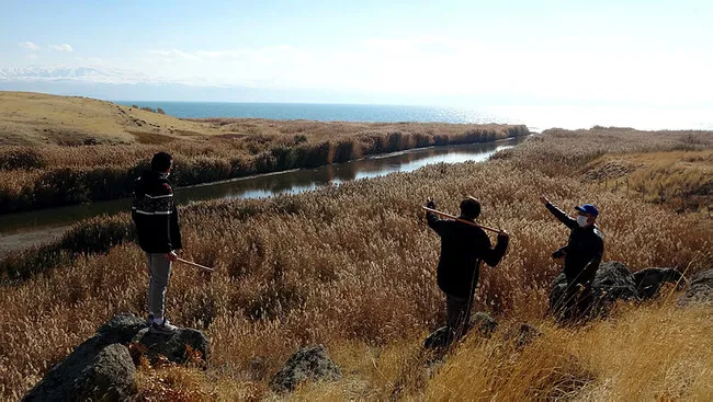 Van’da vatandaşlar yaban domuzu korkusu yüzünden sopasız çıkmıyorlar - 1