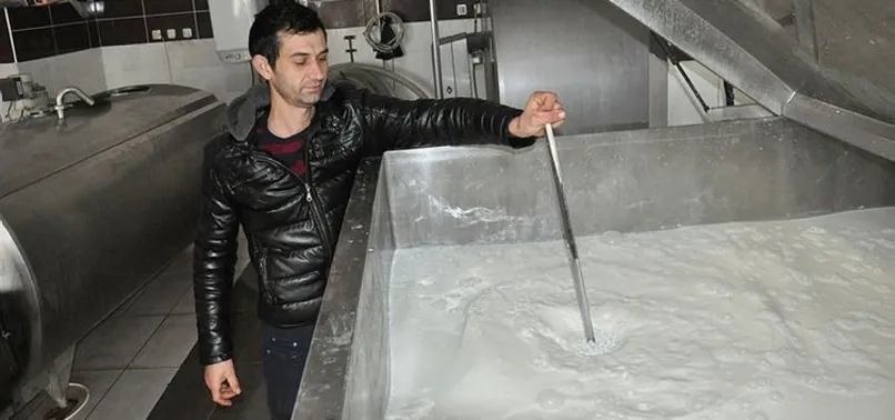 Litresi 5 lira olan süt yok satıyor!