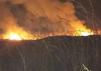 Hatay'da sazlık yangını söndürüldü