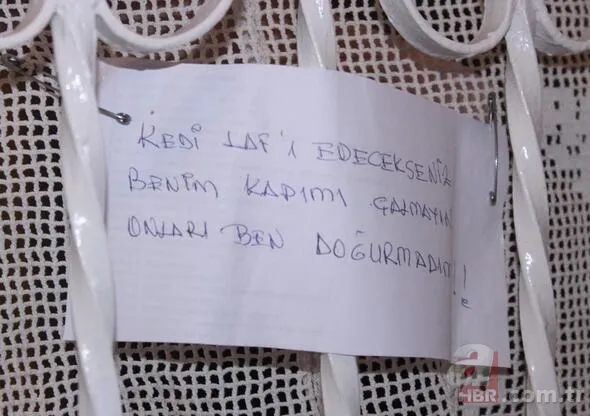 Tarkan: Viking Kanı filminin Yonca'sı Fatma Belgen yaşadığı değişimle şaşırttı! 11