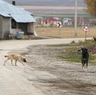 Batı medyasından Türkiye’ye operasyon!