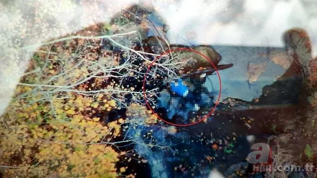 Bayram Helvacı'dan şok ifade! Kastamonu'daki anne-oğul cinayete mi kurban gitti? 2