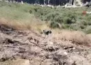 Patlıcan közlerken uçurumdan yuvarlandı