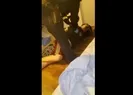 ABD polisi yine can aldı!