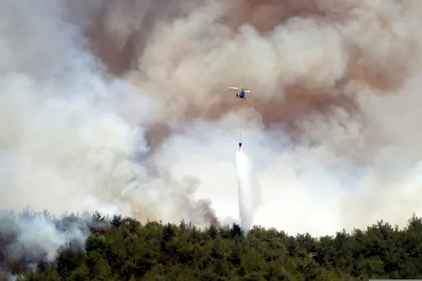 Fidan bağışı nasıl yapılır? TEMA 1 fidan fiyatı kaç TL? Yangın bölgeleri için fidan bağışı nasıl yapılır?