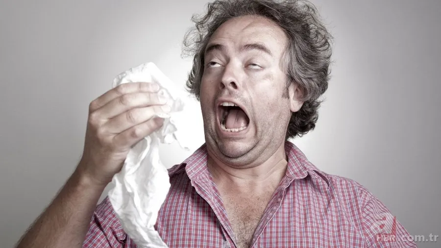 Bir anda gelen hapşırık ne anlama geliyor? Bağışıklık sisteminin gizli savunması 5
