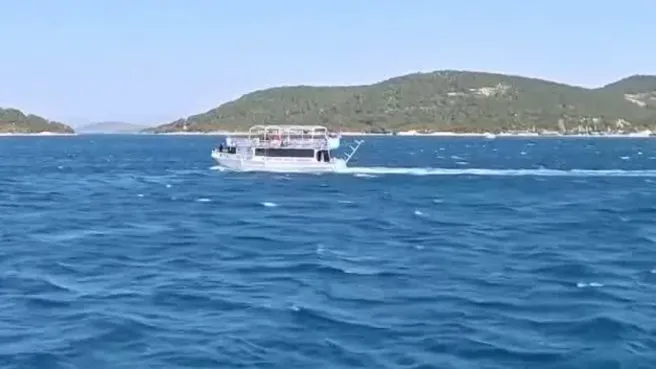 Teknedeki turistlere yunus sürprizi!