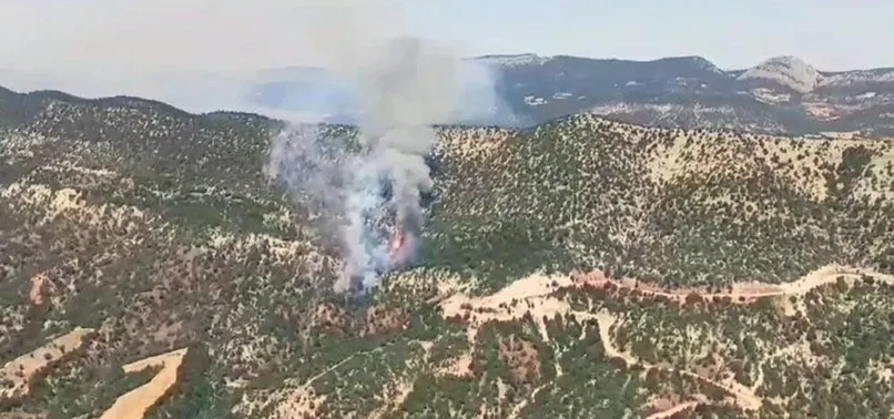 Son dakika: Rüzgarın da etkisiyle büyüdü! Bolu'da orman yangını