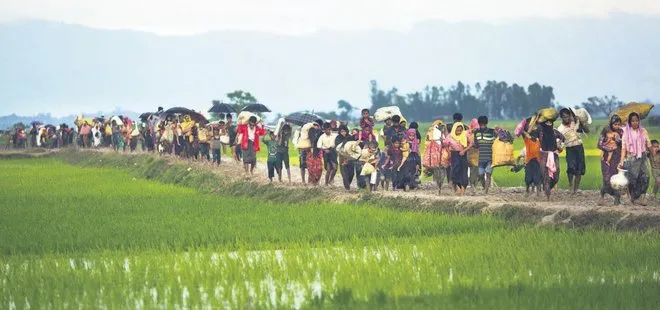 Myanmar ordusu, Arakanlıların mahsullerini topluyorlar