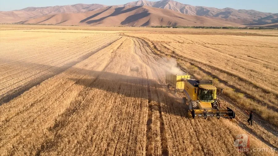 Van'da hububat üretiminde yüzde 75 artış! Sertifikalı tohumla ekim yapılıyor 3