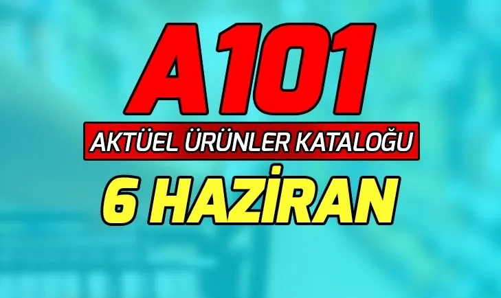 A101 2 Mayis 2019 Aldin Aldin Katalogu Piknik Malzemeleri