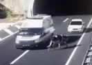 Tünel çıkışında aniden çıktı