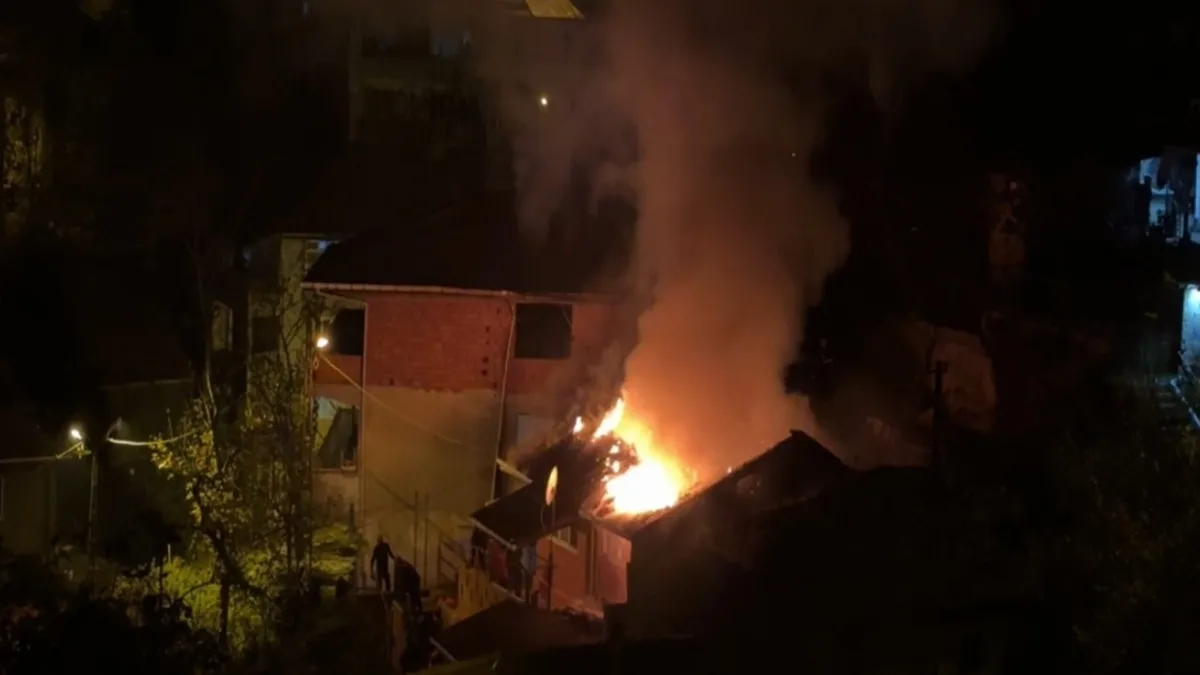 Zonguldak'ta tek katlı evde yangın! Papağan alevlerin arasında kaldı
