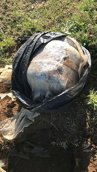 Bingöl'de terör örgütü PKK'nın 4 deposu kullanılamaz hale getirildi - 3