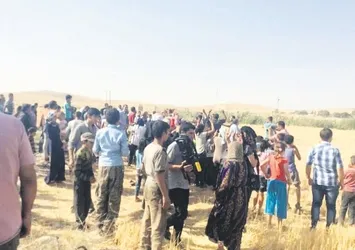 Terör birliği