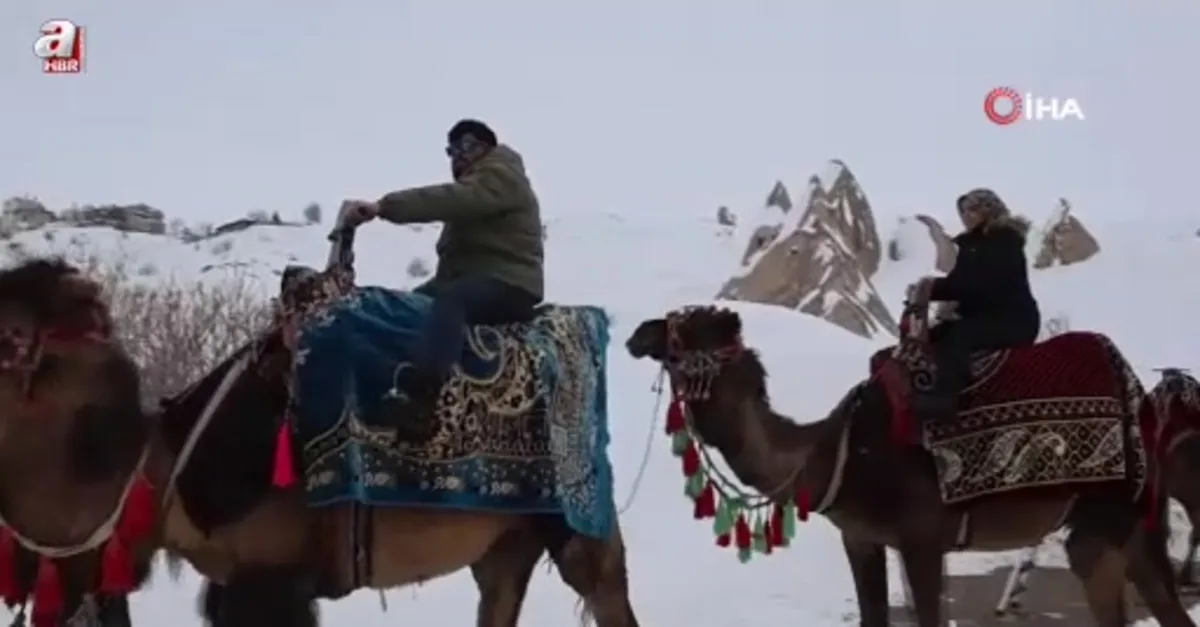 Kapadokya’da deve turlarına ilgi arttı