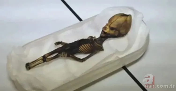 Gizemli iskeletin sırrı çözüldü! Uzaylıya mı ait? UFO teorileri üzerinde duruluyordu… Gerçek bambaşka çıktı 7