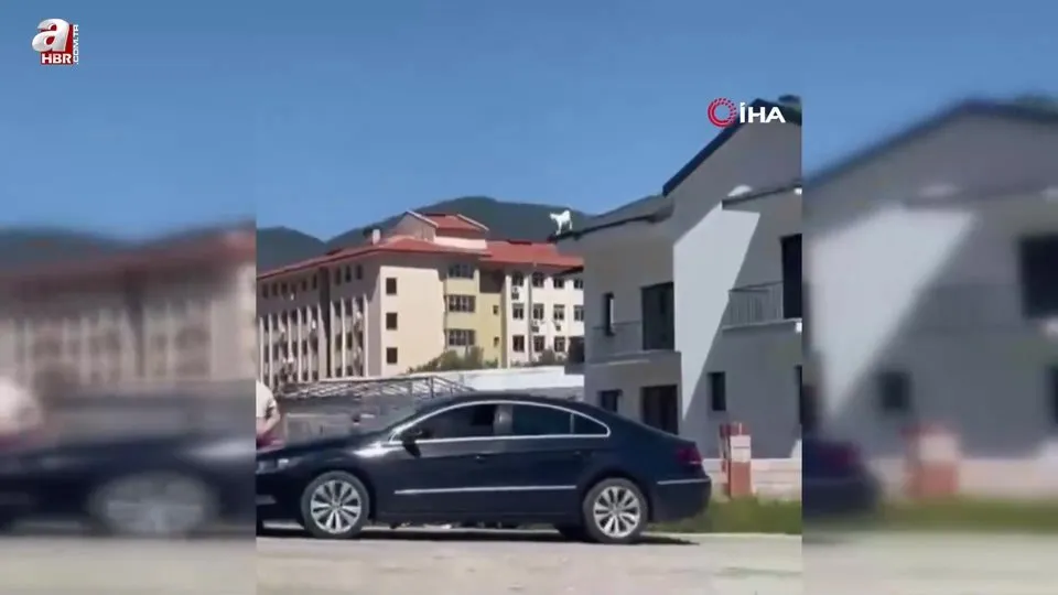Sıra dışı keçi kurtarma operasyonu