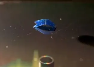 Bilim insanları çalışıyor! Plastiğe yürümeyi öğrettiler