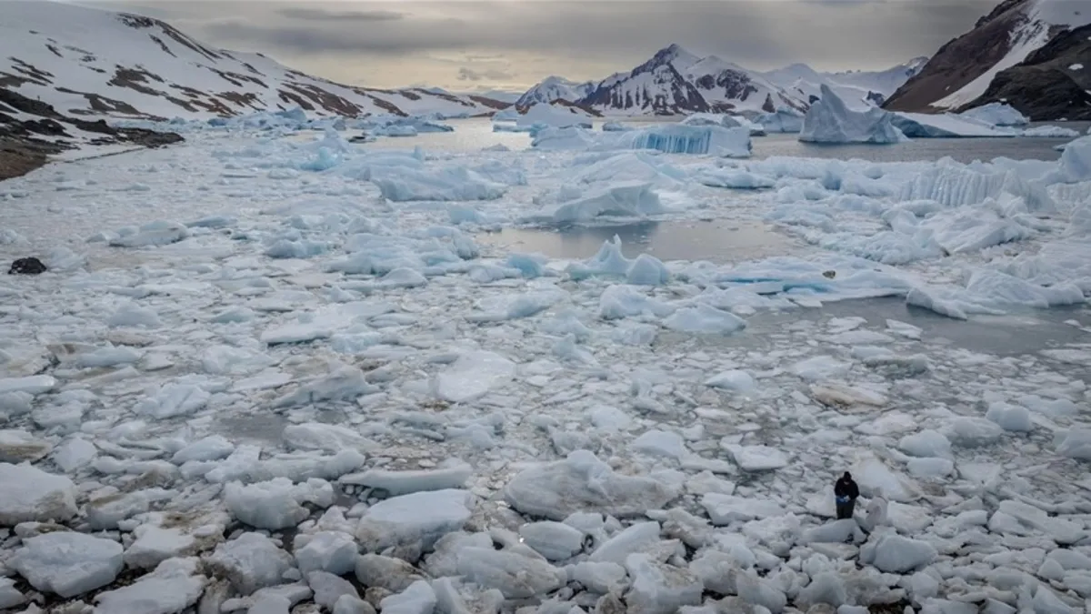 Çinli araştırmacılardan bilim dünyasına katkı: Antarktika'da 6 yeni bakteri keşfedildi