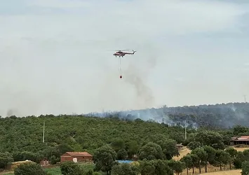 Balıkesir'de orman yangını! Çıkış nedeni belli oldu
