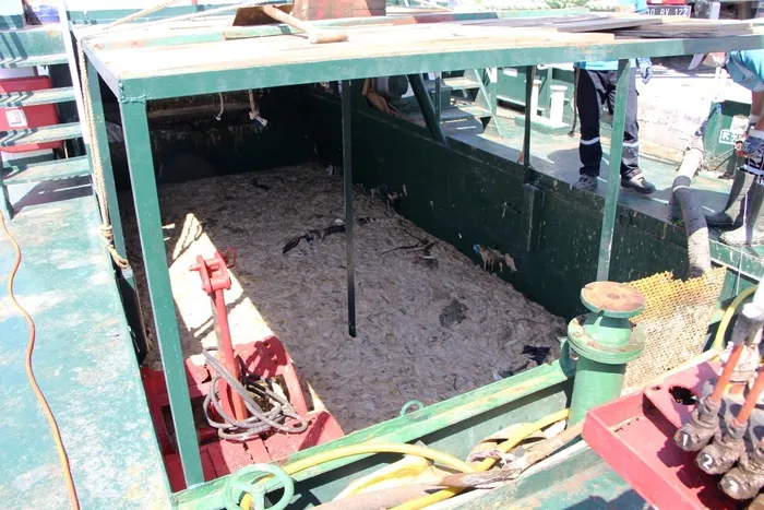 Son dakika: Kritik önerge TBMM’de kabul edildi! Denizlerdeki müsilaj sorunu için Meclis Araştırma Komisyonu kuruldu