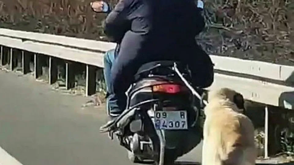 Aydın’da dehşete düşüren görüntüler