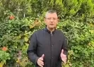 Sağlık Bakanı haklı! Ben aşıyı yaptıracağım